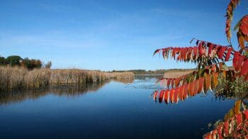 View from the shore of Hundred Acre Pond